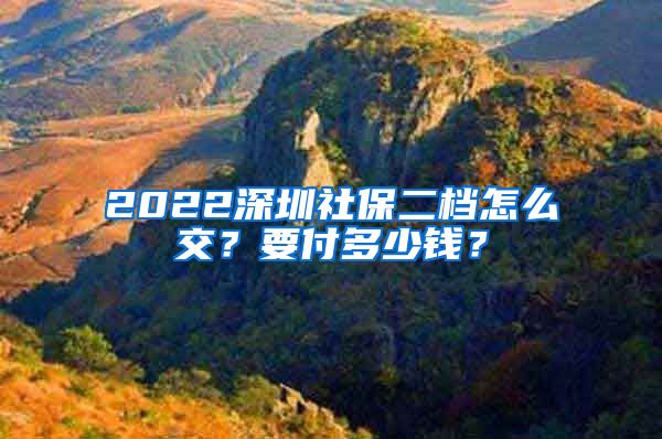 2022深圳社保二档怎么交？要付多少钱？