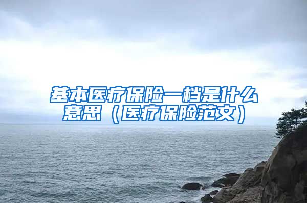 基本医疗保险一档是什么意思（医疗保险范文）