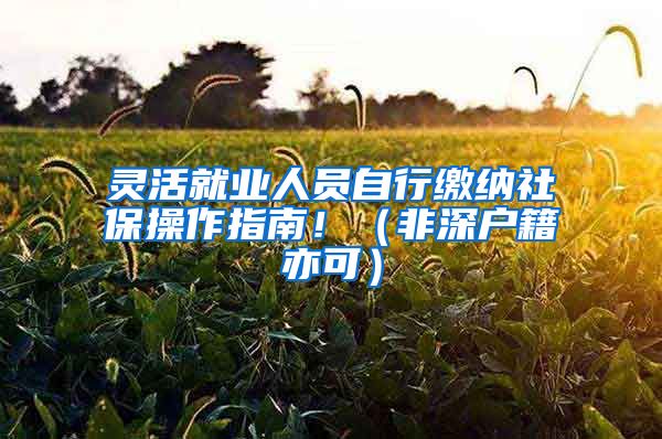 灵活就业人员自行缴纳社保操作指南！（非深户籍亦可）