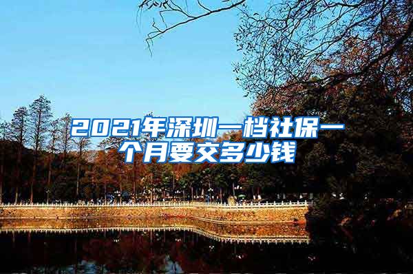 2021年深圳一档社保一个月要交多少钱