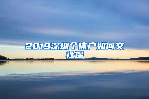 2019深圳个体户如何交社保