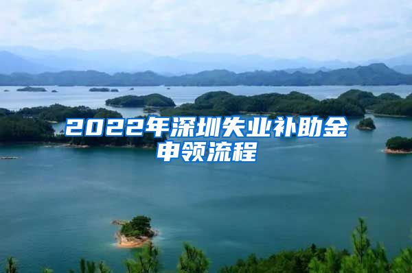 2022年深圳失业补助金申领流程