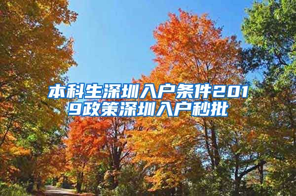 本科生深圳入户条件2019政策深圳入户秒批