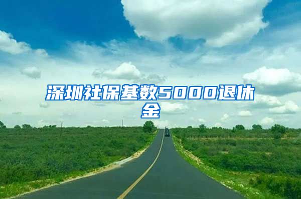 深圳社保基数5000退休金