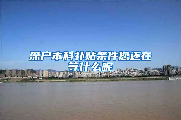 深户本科补贴条件您还在等什么呢