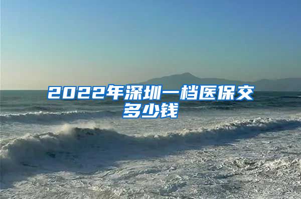 2022年深圳一档医保交多少钱