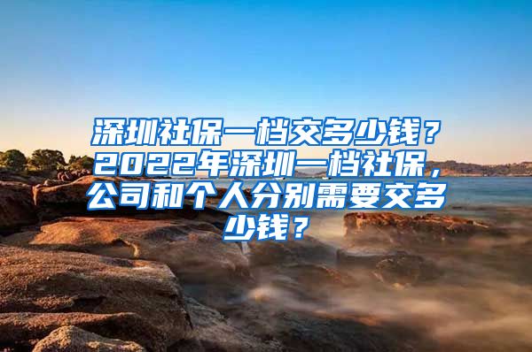 深圳社保一档交多少钱？2022年深圳一档社保，公司和个人分别需要交多少钱？