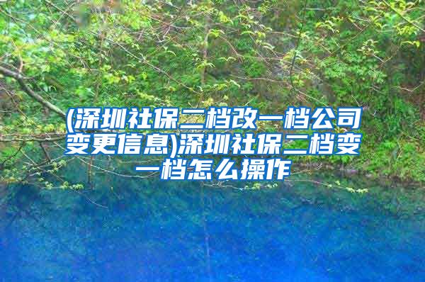 (深圳社保二档改一档公司变更信息)深圳社保二档变一档怎么操作