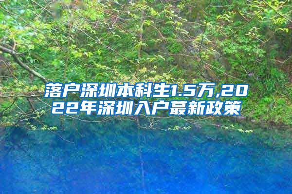 落户深圳本科生1.5万,2022年深圳入户蕞新政策