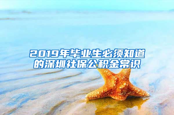 2019年毕业生必须知道的深圳社保公积金常识