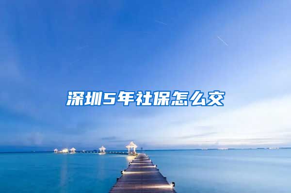 深圳5年社保怎么交