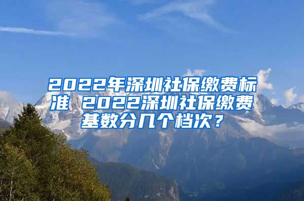 2022年深圳社保缴费标准 2022深圳社保缴费基数分几个档次？