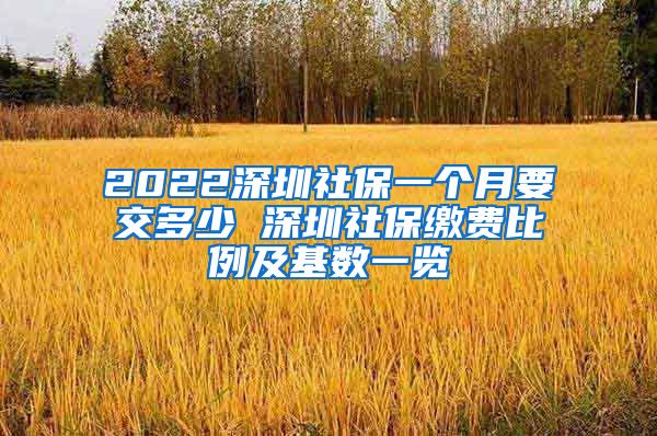 2022深圳社保一个月要交多少 深圳社保缴费比例及基数一览