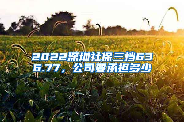 2022深圳社保三档636.77，公司要承担多少