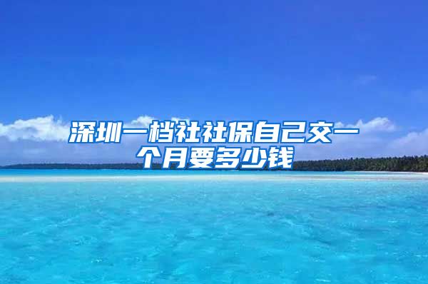 深圳一档社社保自己交一个月要多少钱