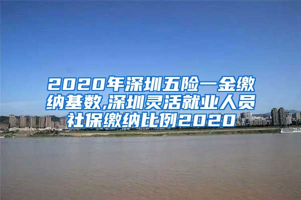 2020年深圳五险一金缴纳基数,深圳灵活就业人员社保缴纳比例2020