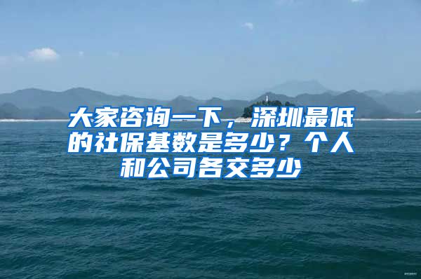 大家咨询一下，深圳最低的社保基数是多少？个人和公司各交多少