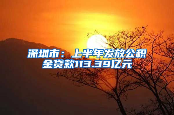 深圳市：上半年发放公积金贷款113.39亿元