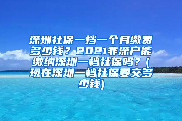 深圳社保一档一个月缴费多少钱？2021非深户能缴纳深圳一档社保吗？(现在深圳一档社保要交多少钱)