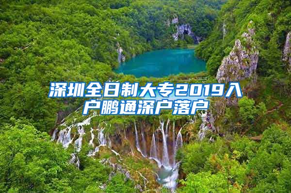 深圳全日制大专2019入户鹏通深户落户