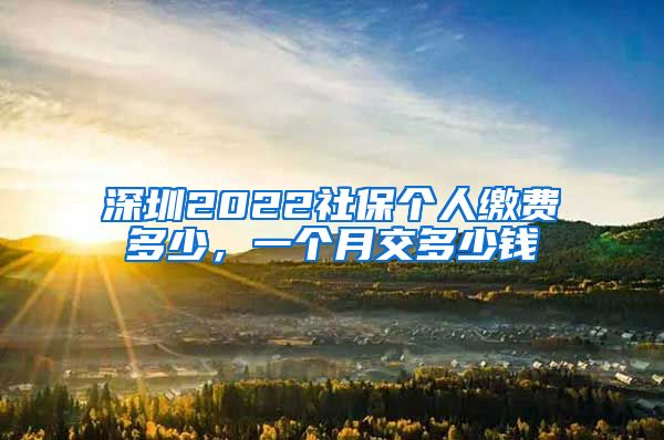 深圳2022社保个人缴费多少，一个月交多少钱