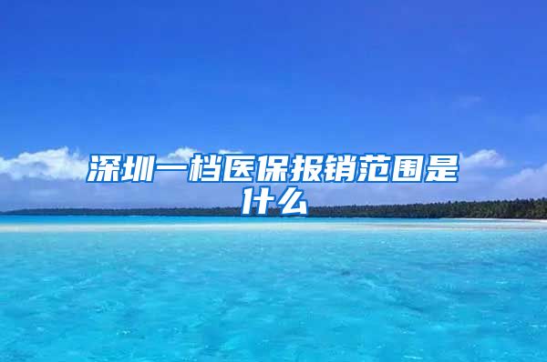 深圳一档医保报销范围是什么