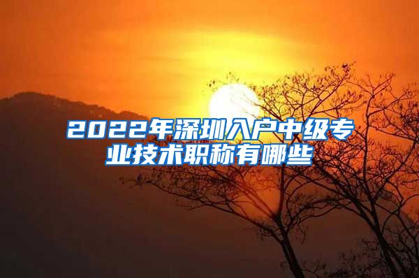 2022年深圳入户中级专业技术职称有哪些