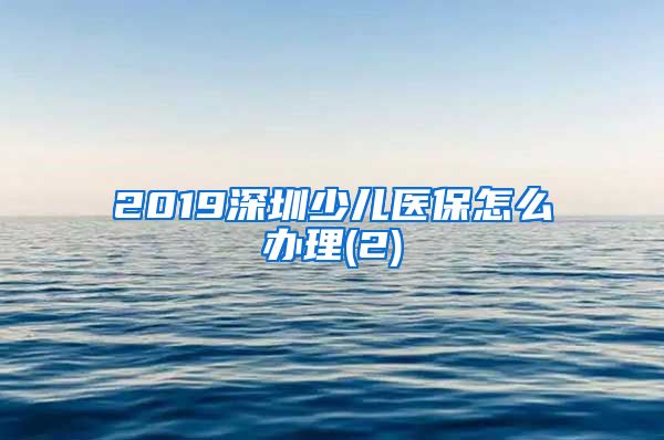 2019深圳少儿医保怎么办理(2)