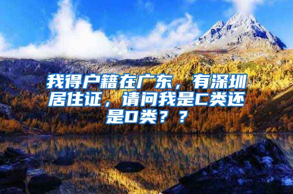 我得户籍在广东，有深圳居住证，请问我是C类还是D类？？