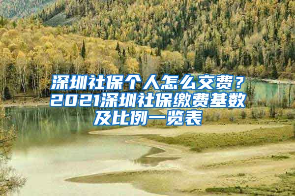 深圳社保个人怎么交费？2021深圳社保缴费基数及比例一览表