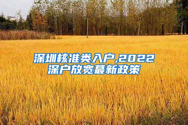 深圳核准类入户,2022深户放宽蕞新政策