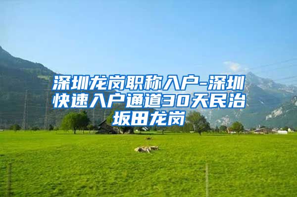 深圳龙岗职称入户-深圳快速入户通道30天民治坂田龙岗