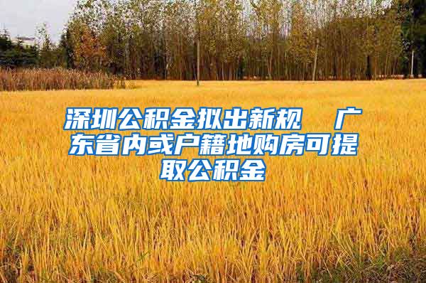 深圳公积金拟出新规  广东省内或户籍地购房可提取公积金