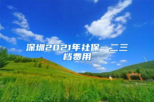 深圳2021年社保一二三档费用