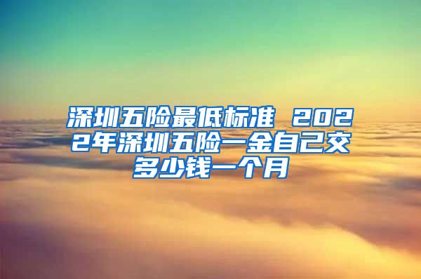 深圳五险最低标准 2022年深圳五险一金自己交多少钱一个月