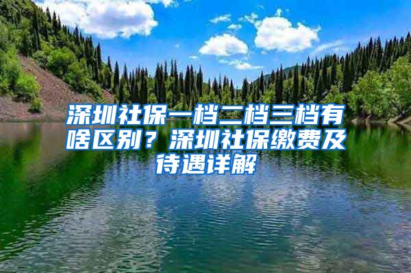 深圳社保一档二档三档有啥区别？深圳社保缴费及待遇详解