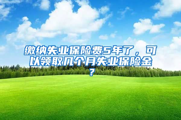 缴纳失业保险费5年了，可以领取几个月失业保险金？