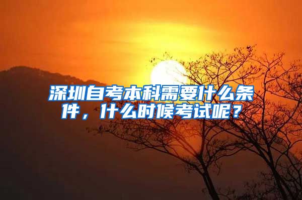 深圳自考本科需要什么条件，什么时候考试呢？