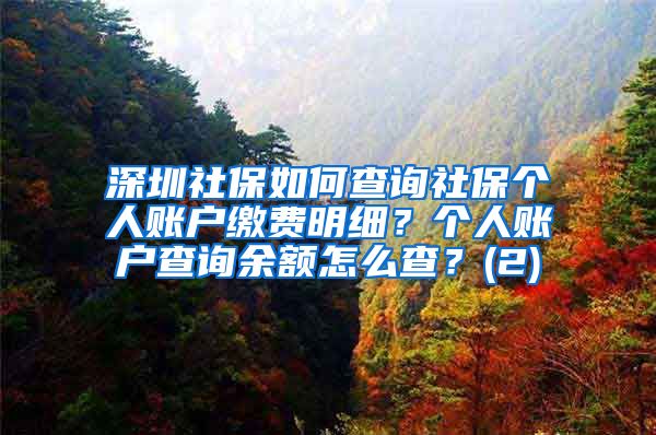 深圳社保如何查询社保个人账户缴费明细？个人账户查询余额怎么查？(2)