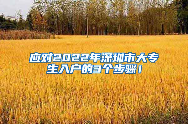 应对2022年深圳市大专生入户的3个步骤！