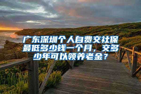 广东深圳个人自费交社保最低多少钱一个月，交多少年可以领养老金？