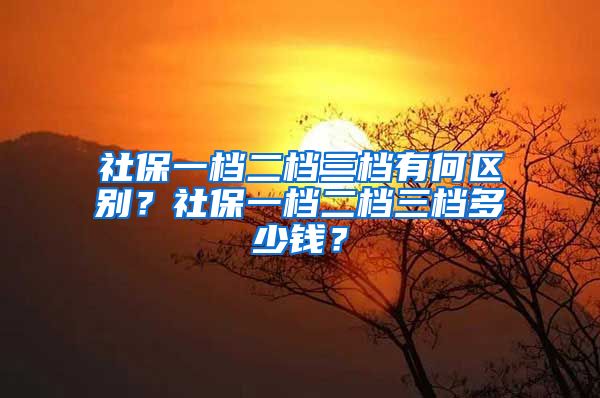 社保一档二档三档有何区别？社保一档二档三档多少钱？