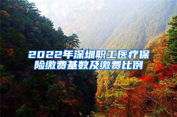 2022年深圳职工医疗保险缴费基数及缴费比例