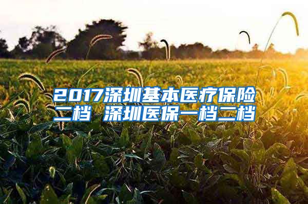 2017深圳基本医疗保险二档 深圳医保一档二档