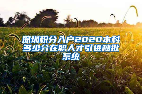 深圳积分入户2020本科多少分在职人才引进秒批系统