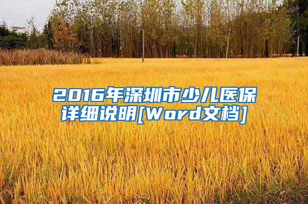 2016年深圳市少儿医保详细说明[Word文档]