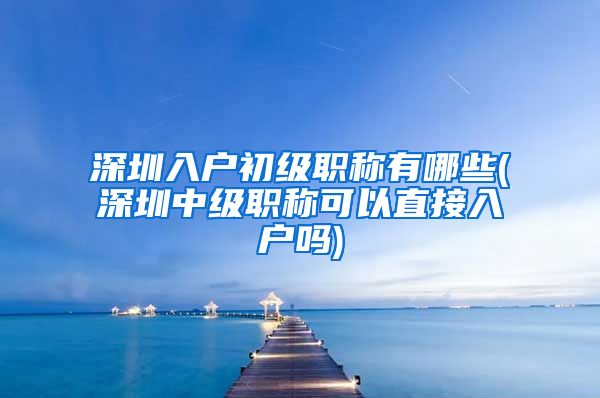 深圳入户初级职称有哪些(深圳中级职称可以直接入户吗)