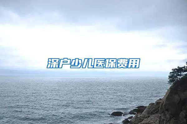 深户少儿医保费用