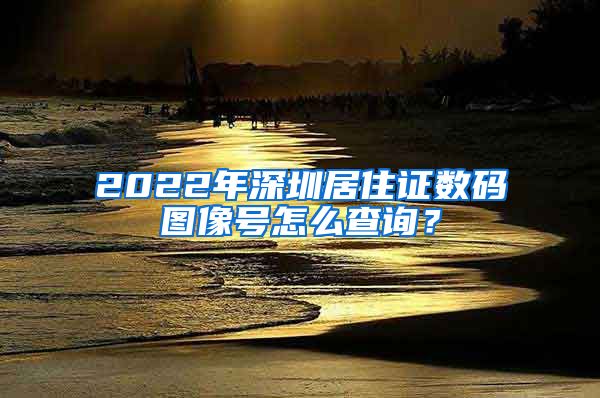 2022年深圳居住证数码图像号怎么查询？