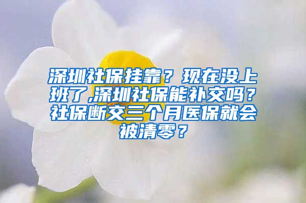 深圳社保挂靠？现在没上班了,深圳社保能补交吗？社保断交三个月医保就会被清零？